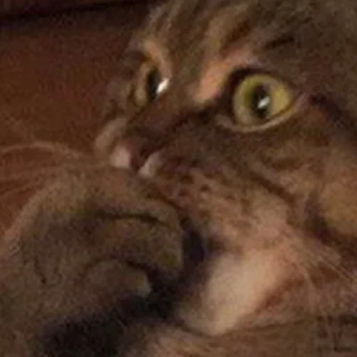 Стикер Кекольников