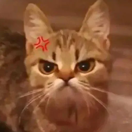 Стикер Кекольников