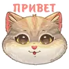 Стикер Бублик