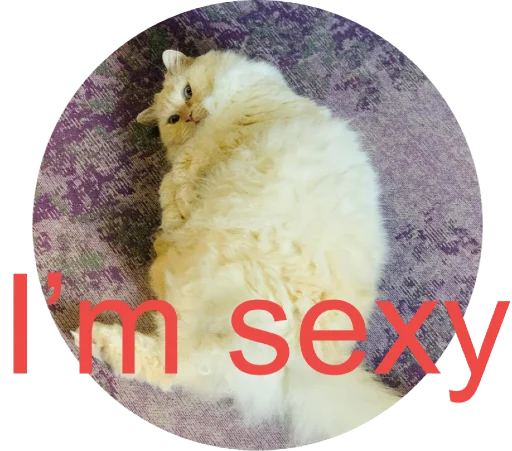 Стикер Кинкиса