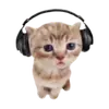 🎧