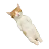 Стикер стикеркэт♡
