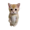 Стикер стикеркэт♡