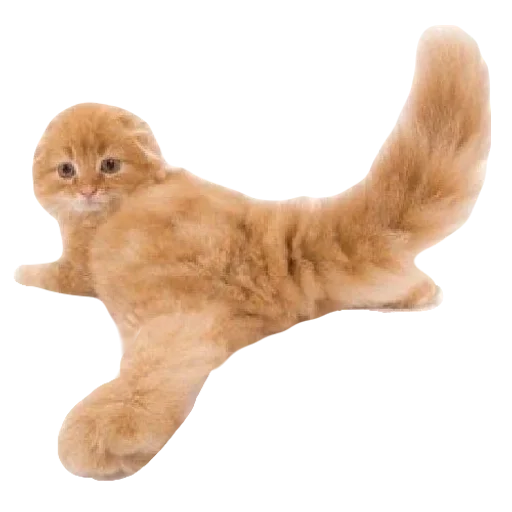 Стикер cute kitty