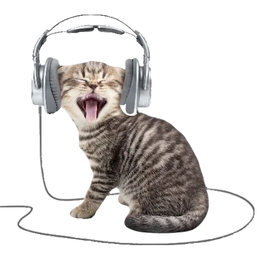 Стикер cute kitty