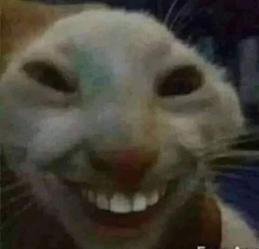 🇺🇦