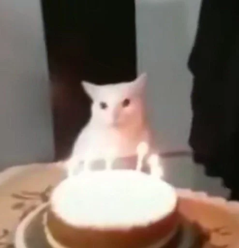 Стикер котики милые