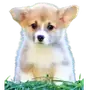 Эмодзи Корги