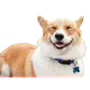 Эмодзи Корги
