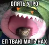 Стикер Злые котики