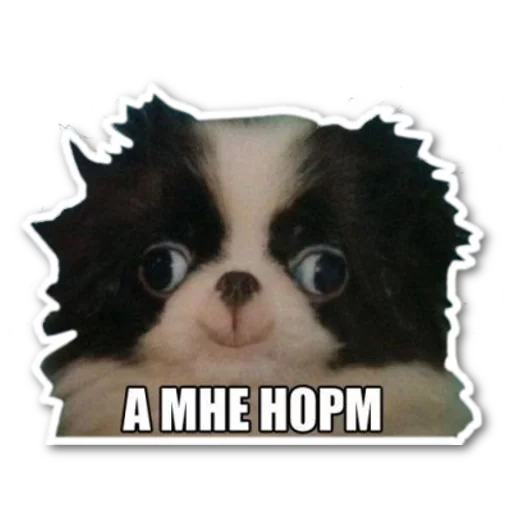 Стикер котэпак