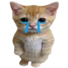 Эмодзи kotenochekmeow