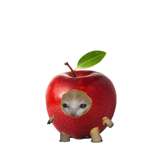 Стикер котики овощи коты фрукты