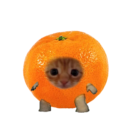 Стикер котики овощи коты фрукты