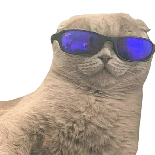 Стикер PupesPack