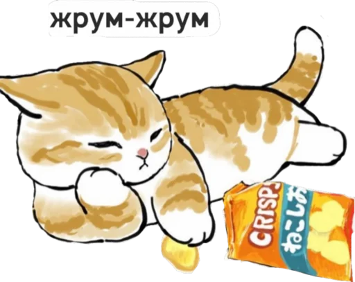 Стикер котик