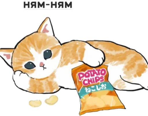 Стикер котик