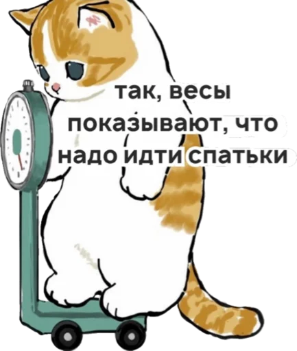 Стикер котик
