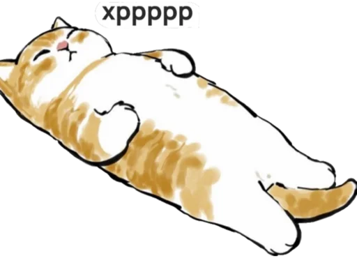 Стикер котик