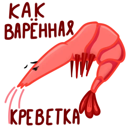 Стикер Полная Креветка