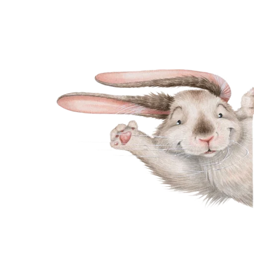 Стикер Кроличья лапка