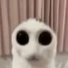 Стикер чушь и ерунда