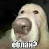 Стикер чушь и ерунда