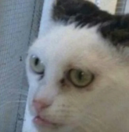 Стикер kulichsdoh