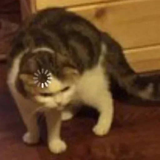 Стикер KulBlaaa By Umrbek okang