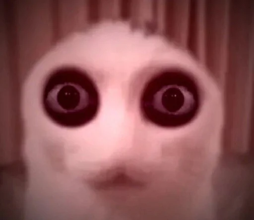 Стикер kuropotik