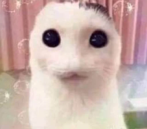 Стикер kuropotik