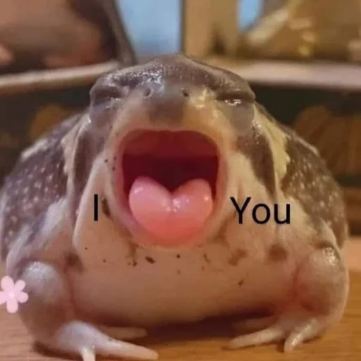 Стикер Квакушки