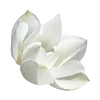 Эмодзи Flowers