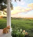 Стикер love for aesthetics