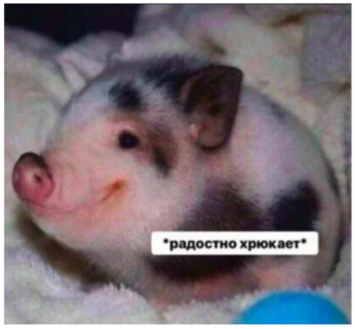 Стикер _lizaschka_