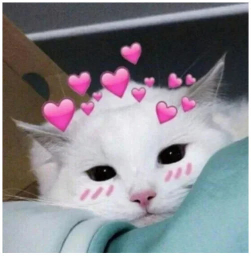 Стикер _lizaschka_