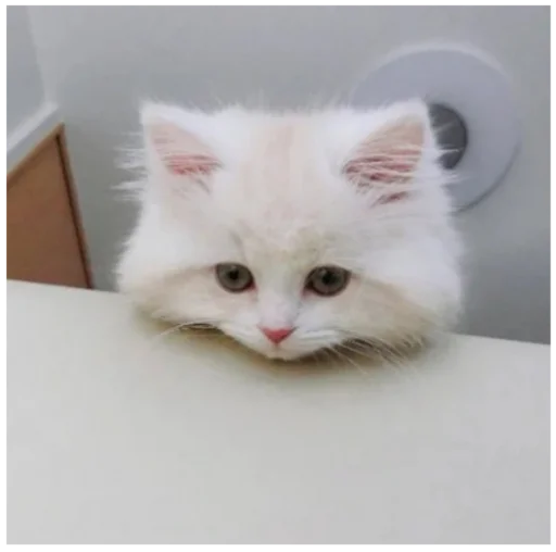 Стикер _lizaschka_