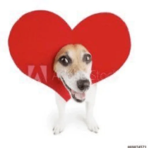 Стикер собаченя