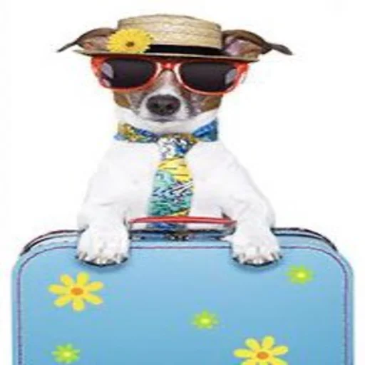 Стикер собаченя