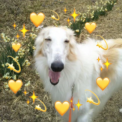 Стикер longnose style