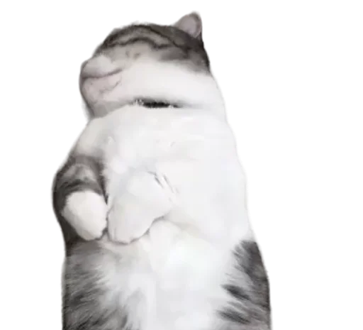 Стикер Long Komaru