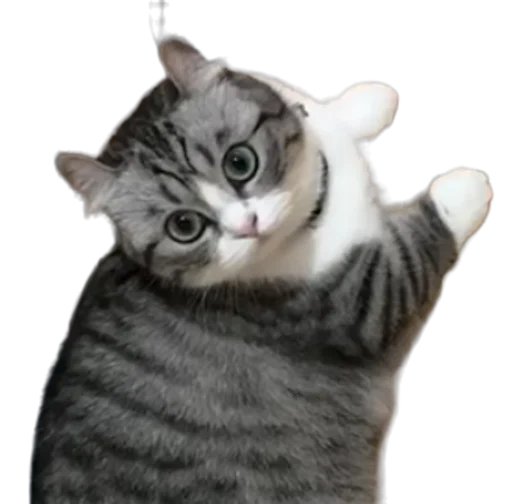 Стикер Long Komaru