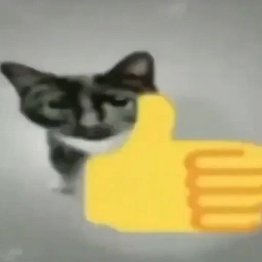 Стикер Cats memes