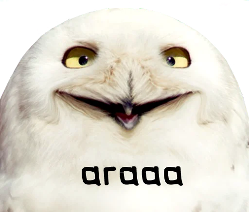 Стикер bird memes by loromoin