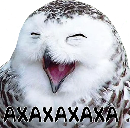 Стикер bird memes by loromoin