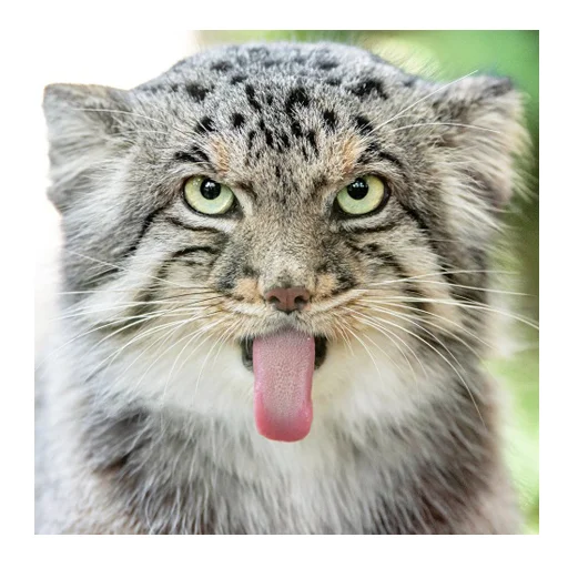 Стикер manuliki