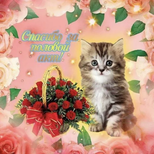 Стикер memes #1