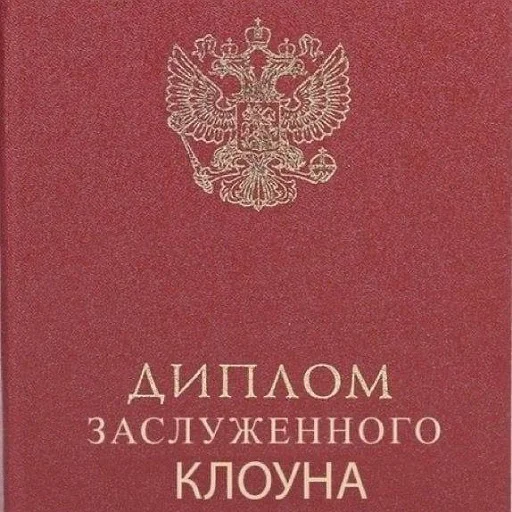 Стикер коты и мемы