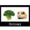 Стикер Мемные ПОЧЕМУ
