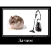 Стикер Мемные ПОЧЕМУ